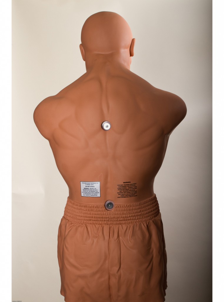 Century Sparring BOB GlobeMMA