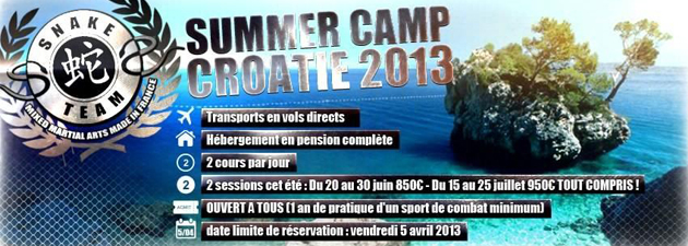 Snake Team Summer Camp 2013 banniere