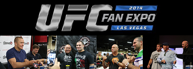 UFC-Fan-Expo-2014-Banniere