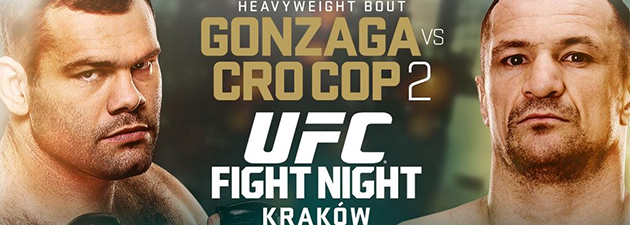 Interview-Gabriel-Gonzaga-UFC-Pologne